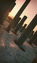 _3001155